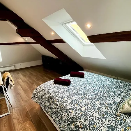 Family-friendly Duplex - Near Center - Free Parking - Wifi Colmar