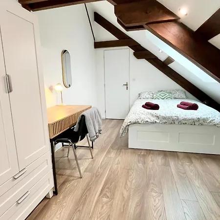 Apartamento Family-friendly Duplex - Near Center - Free Parking - Wifi Colmar