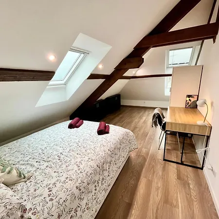 Family-friendly Duplex - Near Center - Free Parking - Wifi * Colmar