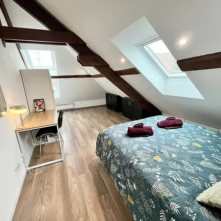 Le 1900 - Spacious & Charming Duplex - 3 Br * Colmar