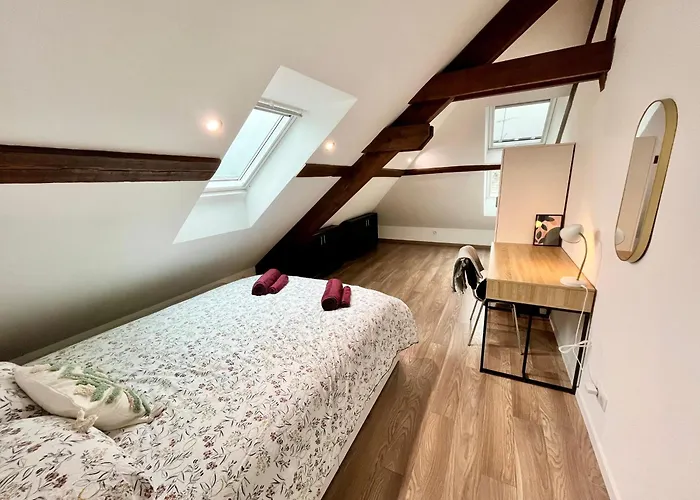 Family-friendly Duplex - Near Center - Free Parking - Wifi * Colmar