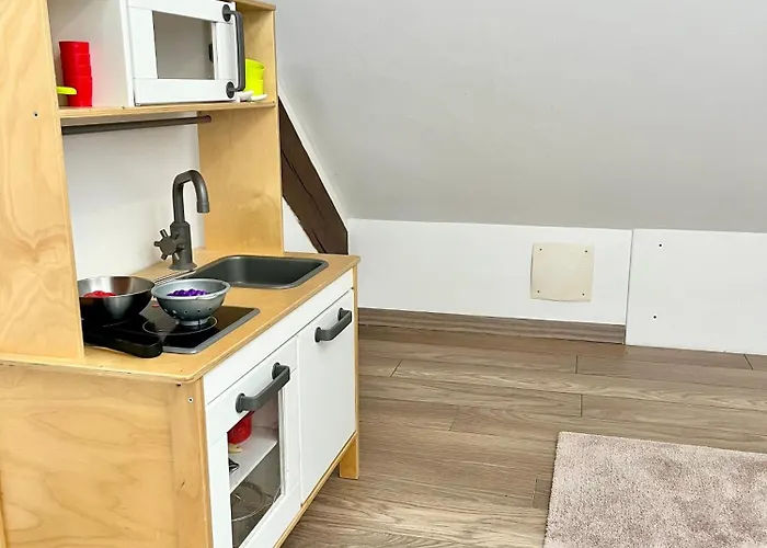Le 1900 - Spacious & Charming Duplex - 3 Br * Colmar