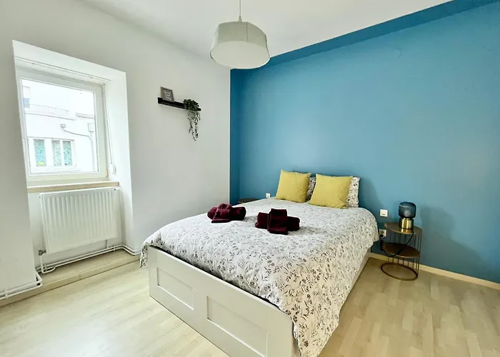 Le 1900 - Spacious & Charming Duplex - 3 Br Colmar