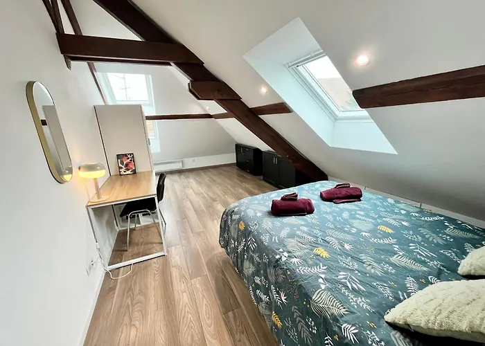 Le 1900 - Spacious & Charming Duplex - 3 Br * Colmar